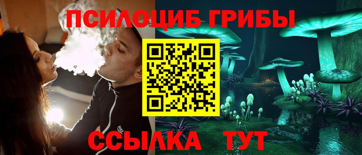 Богданович  Галлюциногенные грибы мицелий  Вход с VPN  Галлюциногенные грибы Psilocybine cubensis 