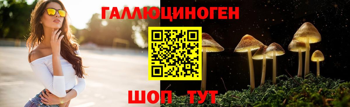 Галлюциногенные грибы GOLDEN TEACHER Богданович